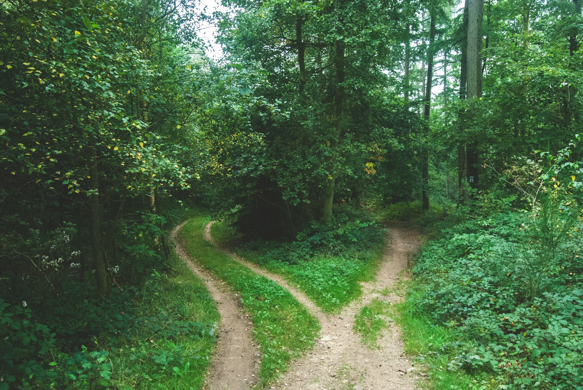 To be, or to be? The quiet philosophy of ser and estar
